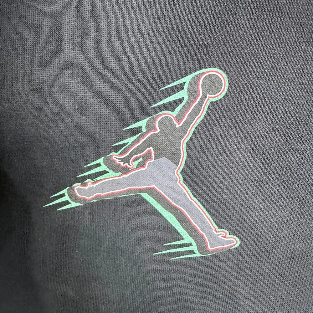 Jordan Black Cat Panther Graphic Pullover Hoodie Black FJ5544-010 Large